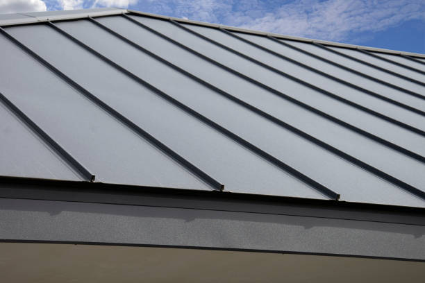 Best Roof Maintenance and Cleaning  in Greendale, IN